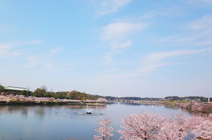 千波公園