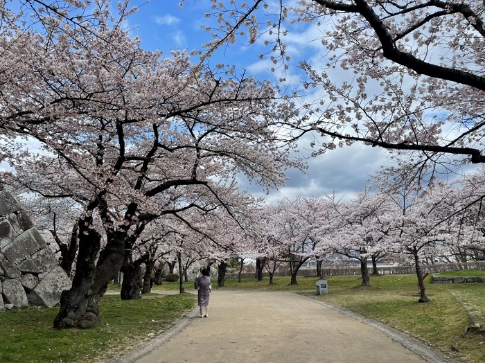 盛岡城跡公園