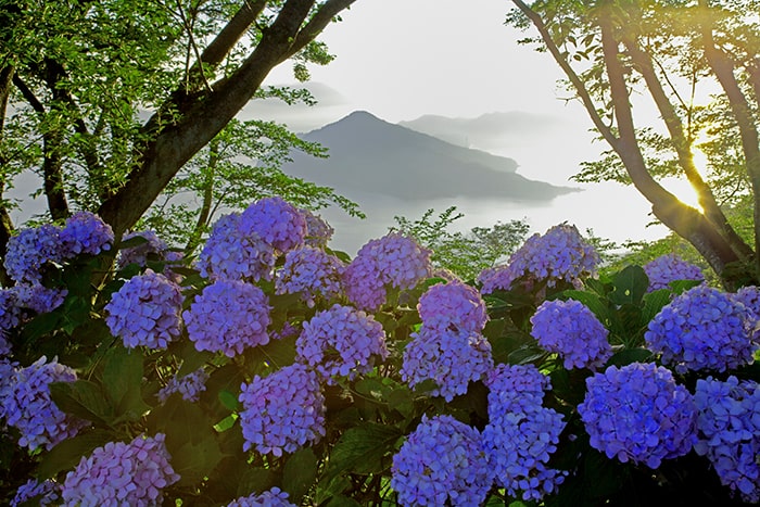 紫雲出山