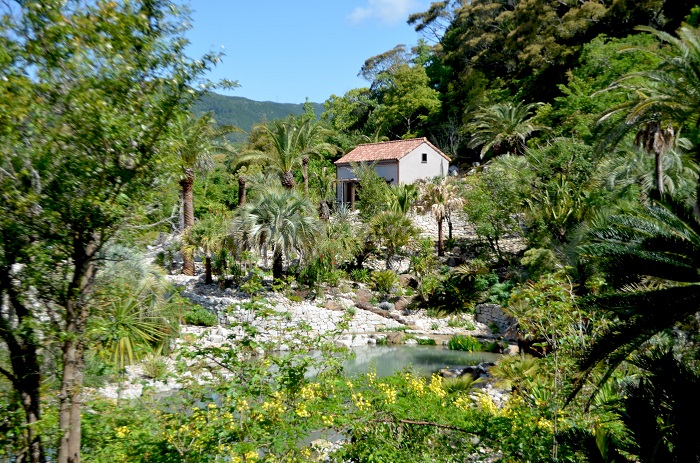 北川村「モネの庭」マルモッタン