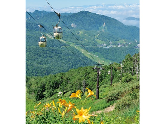 東館山高山植物園