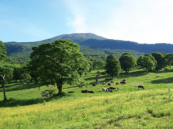 笹ヶ峰牧場