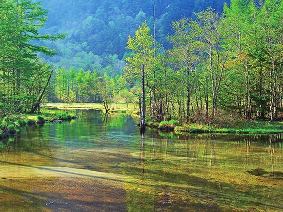 田代池