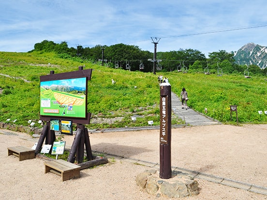 白馬五竜高山植物園