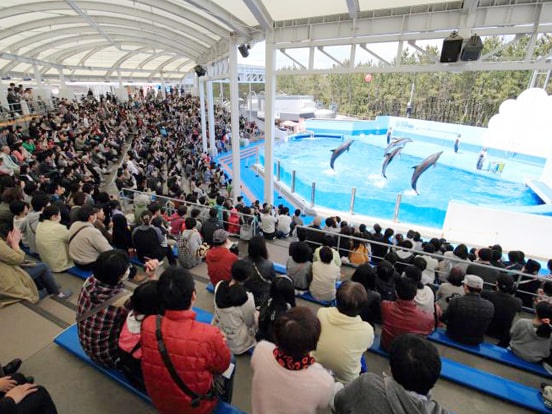 写真：新潟観光コンベンション協会