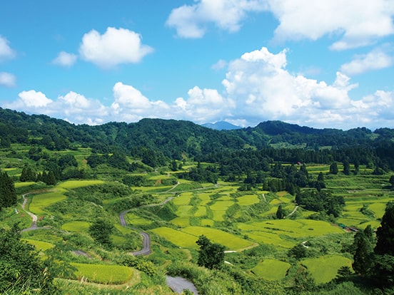 越後松代棚田群 星峠の棚田