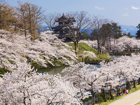 高田城址公園観桜会