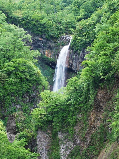 写真：妙高観光局