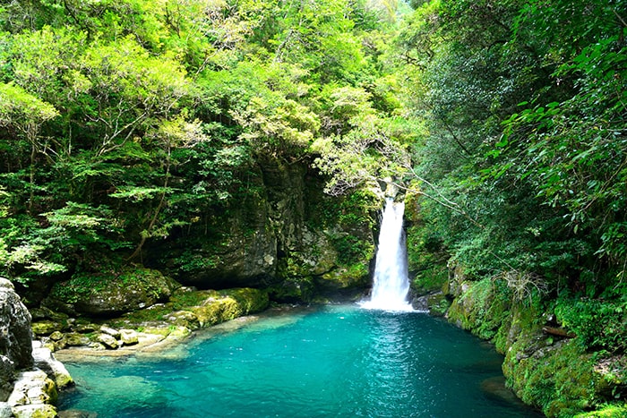 仁淀川にこ淵