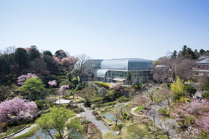 画像：高知県立牧野植物園提供