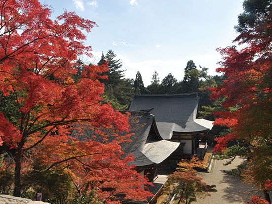 （11月頃）　写真提供：高雄山 神護寺