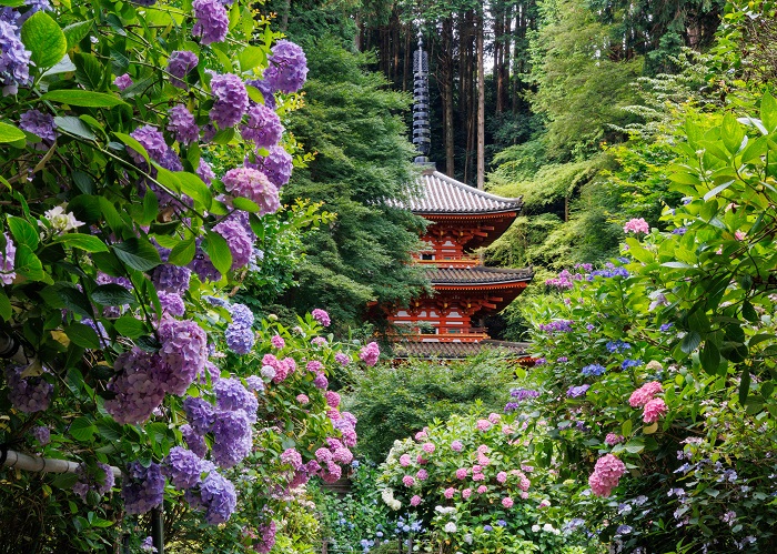 岩船寺