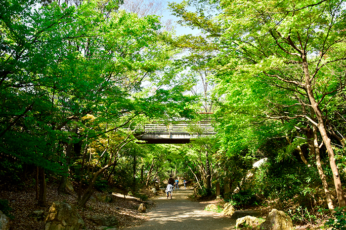 梅小路公園