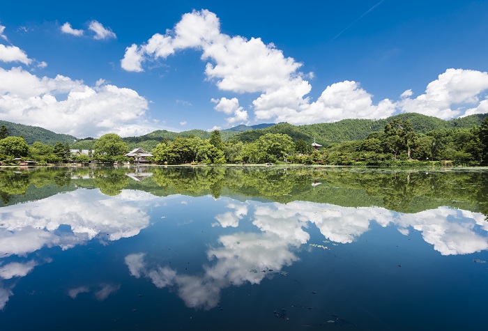 大覚寺と大沢池(夏) 写真提供：旧嵯峨御所 大本山大覚寺