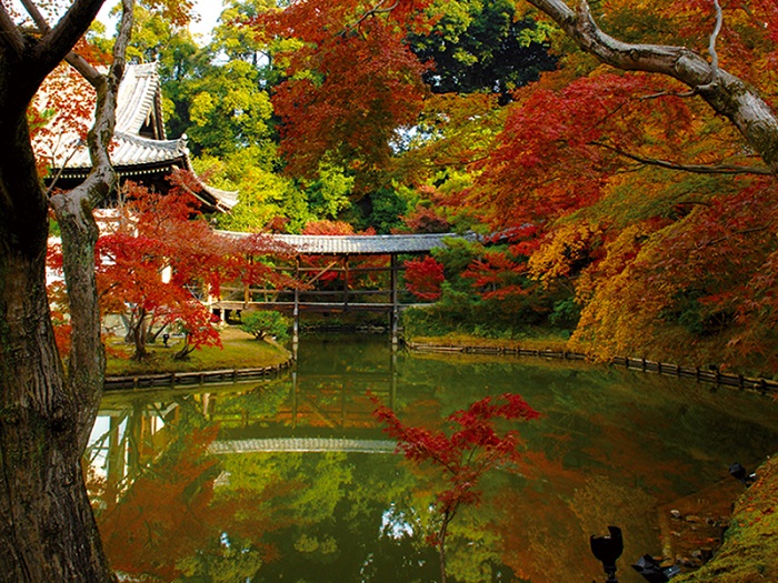 臥龍池　写真提供：高台寺