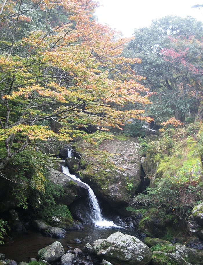 京都府立るり渓自然公園