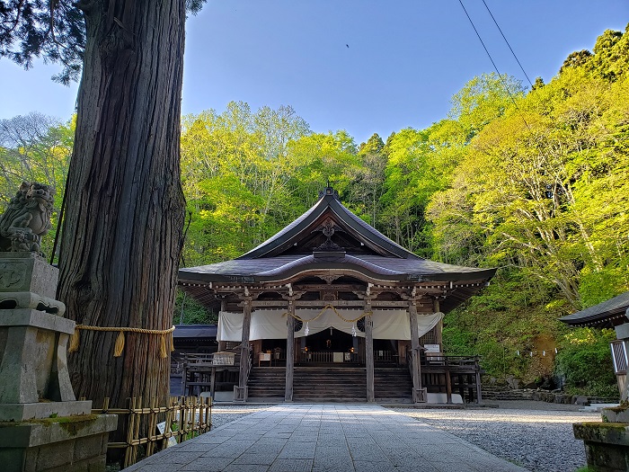 戸隠神社 中社