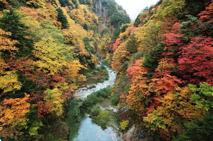 高瀬渓谷