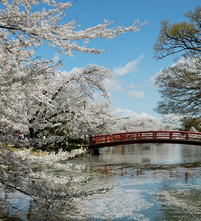 臥竜公園