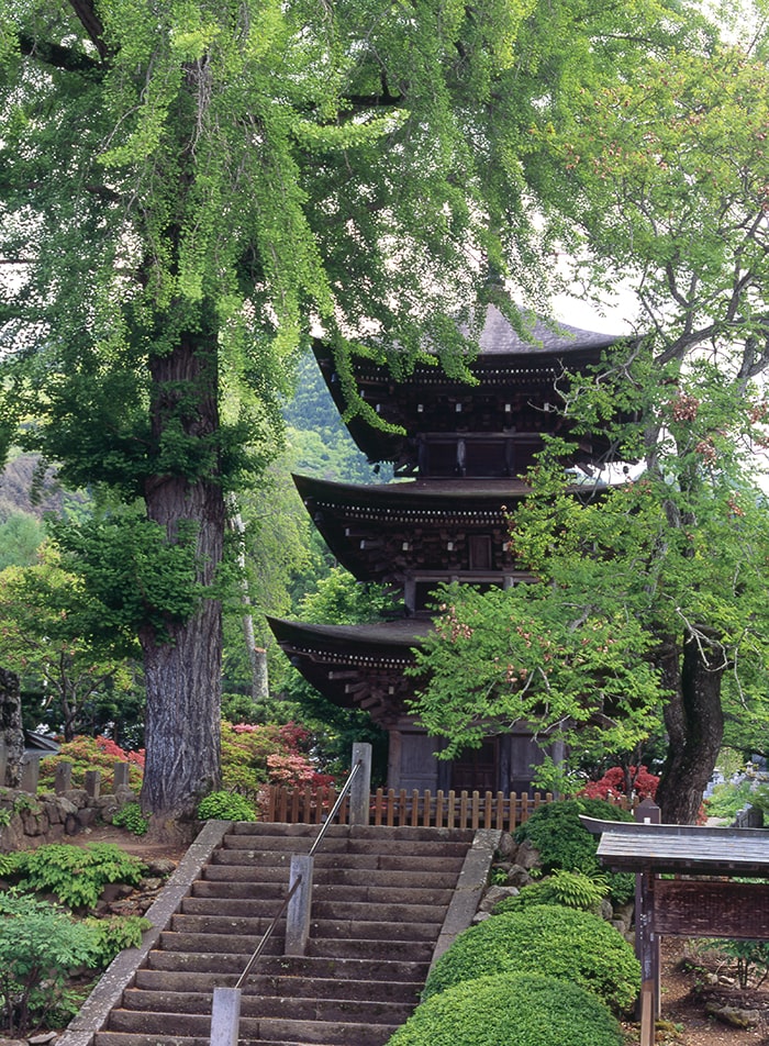 前山寺の三重塔　提供：別所温泉観光協会