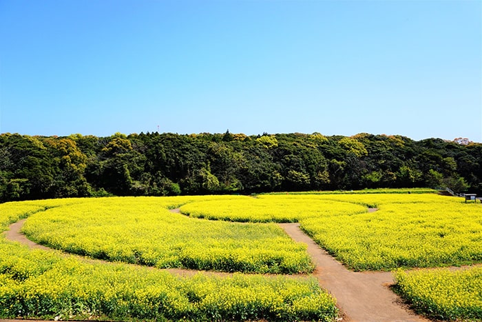 展海峰