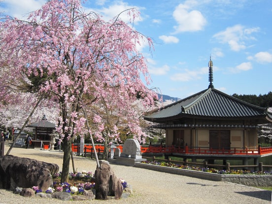 安倍文殊院（4月頃）