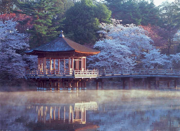 写真提供：一般財団法人 奈良県ビジターズビューロー