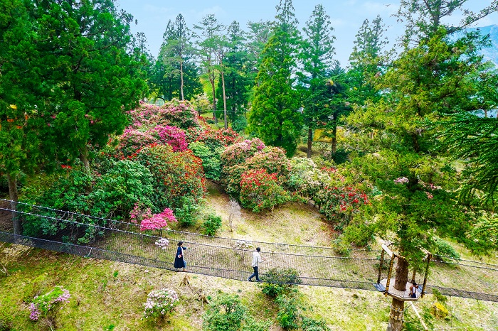 21世紀の森　空中の村