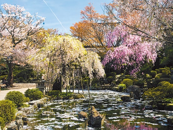 竹林院群芳園