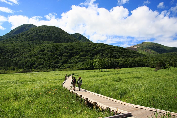 タデ原湿原