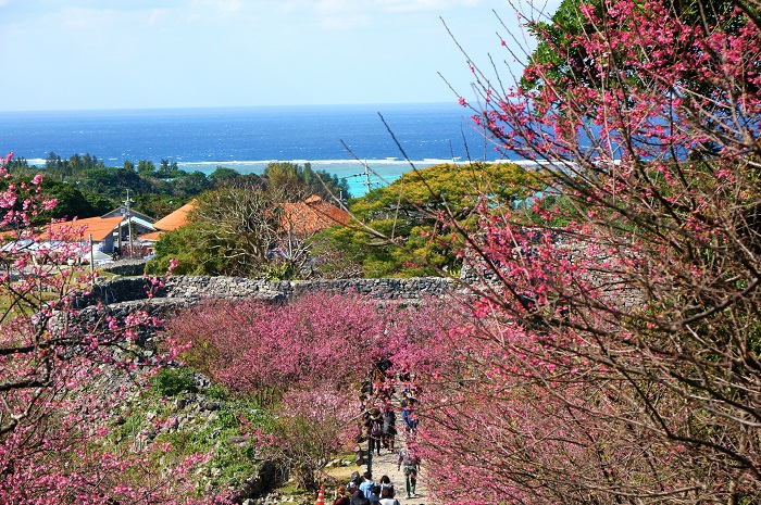 今帰仁城跡