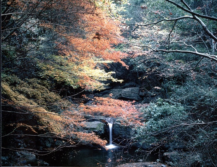 犬鳴山　写真提供：泉佐野市観光協会