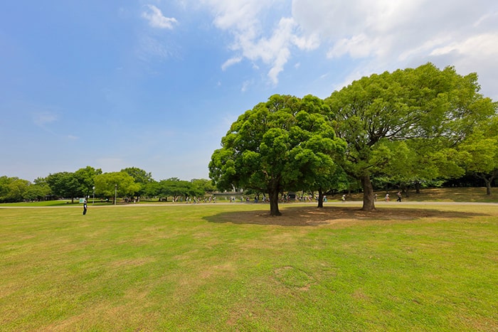 大仙公園