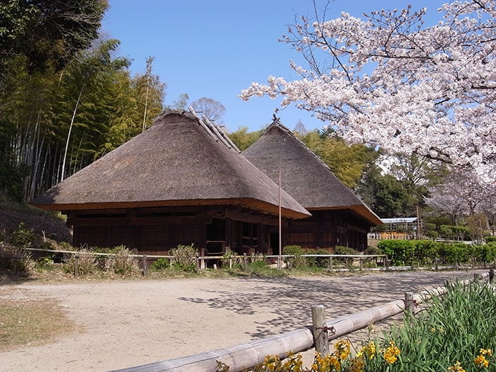 日本民家集落博物館