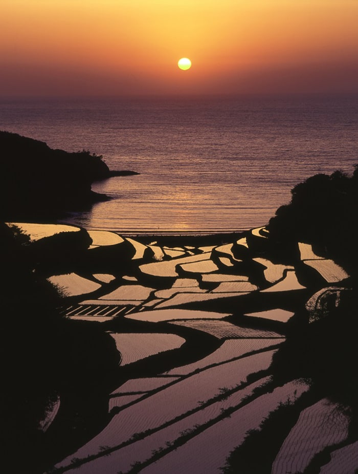 浜野浦の棚田