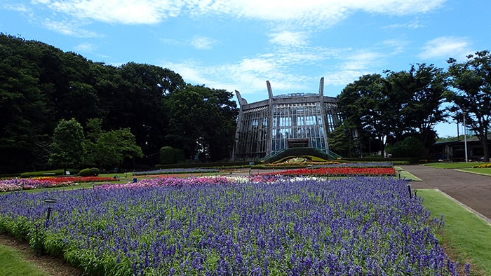 川口市立グリーンセンター