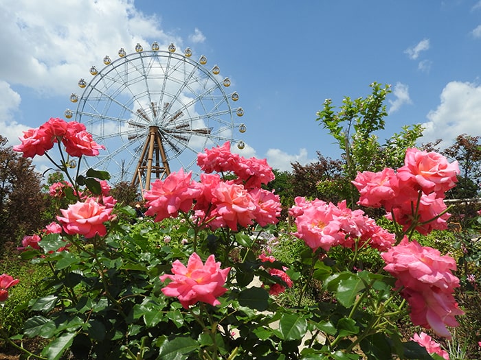 東武動物公園