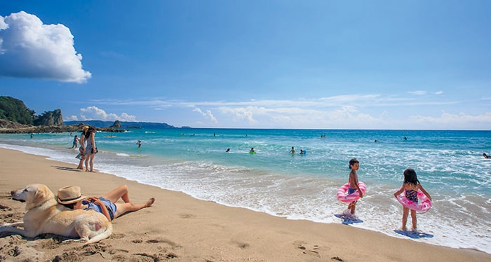 吉佐美大浜海水浴場