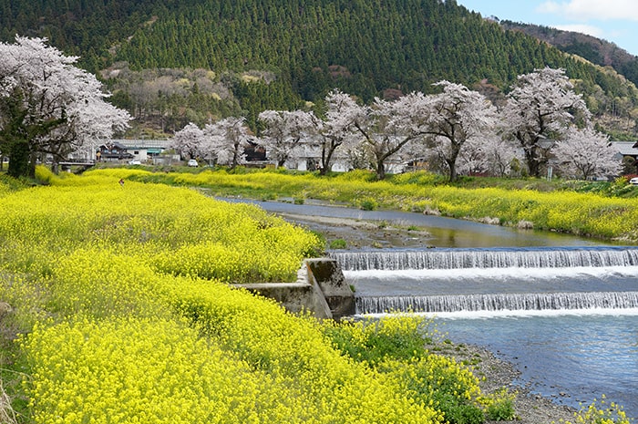 余呉湖