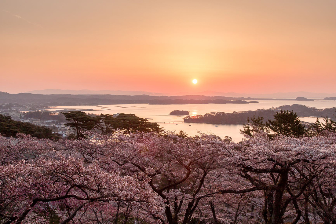 宮城