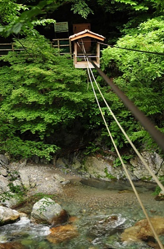 奥祖谷二重かずら橋