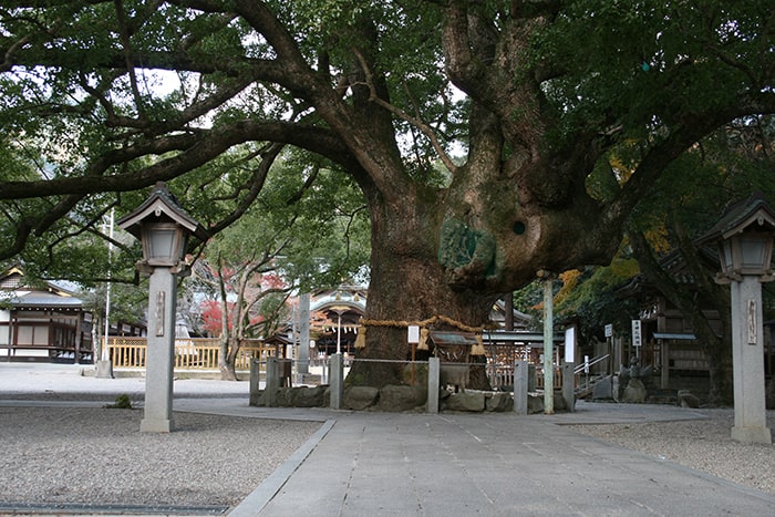 大麻比古神社