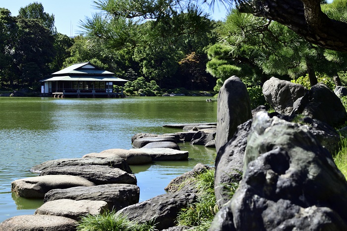 写真提供：公益財団法人東京都公園協会