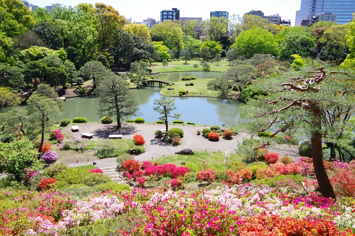 写真提供：公益財団法人東京都公園協会