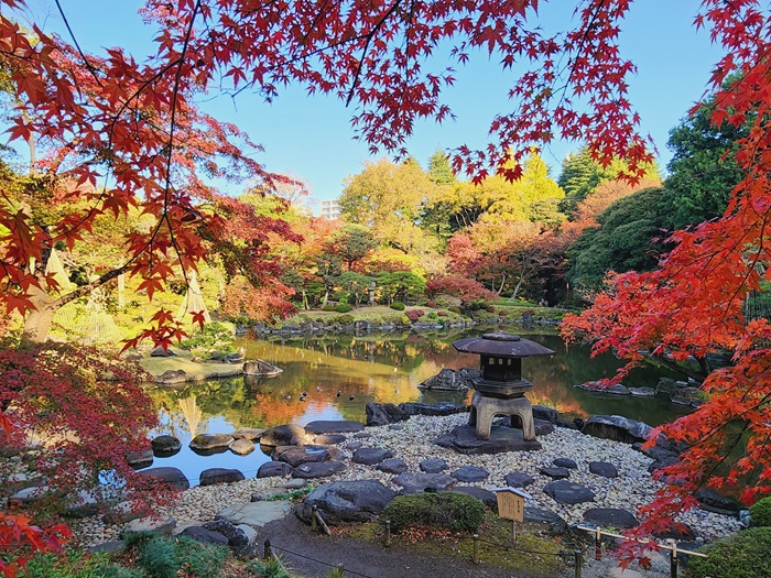 写真提供：公益財団法人東京都公園協会