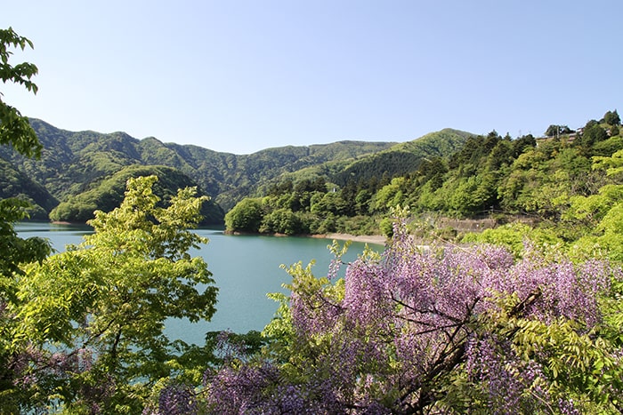 四季折々の美しさがある奥多摩湖