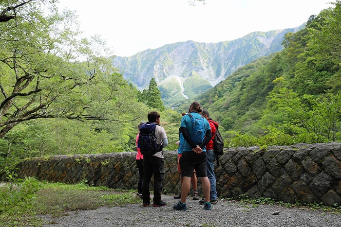 大山ブナの森ウォーク　©一般社団法人 大山観光局