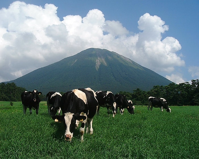 大山まきば みるくの里