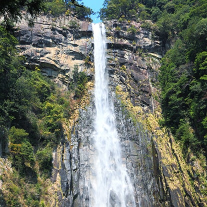 写真提供：公益社団法人和歌山県観光連盟