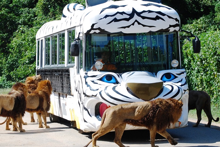 秋吉台自然動物公園 サファリランド